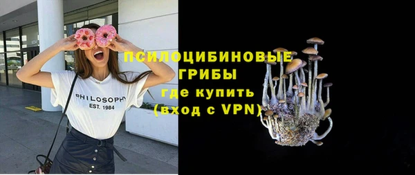 мескалин Бородино