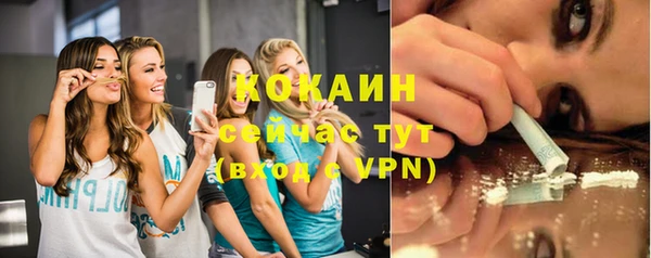 мескалин Бородино