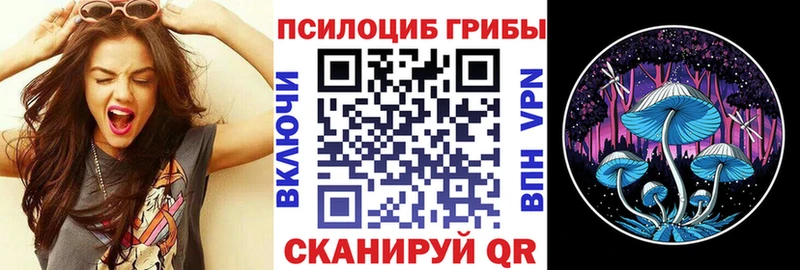 Галлюциногенные грибы Magic Shrooms  Владивосток 